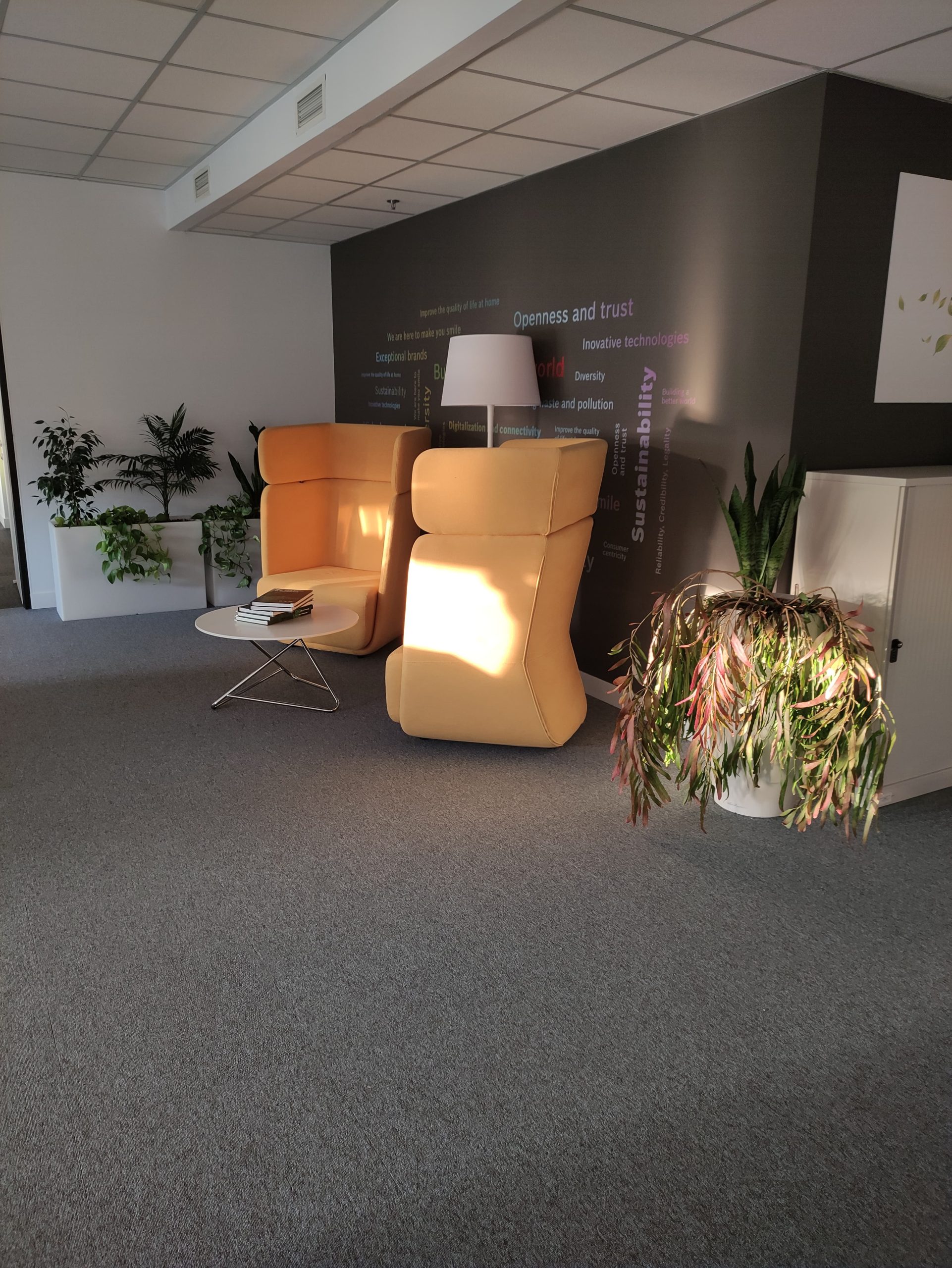 Zonă de relaxare într-un birou modern cu plante naturale și fotolii